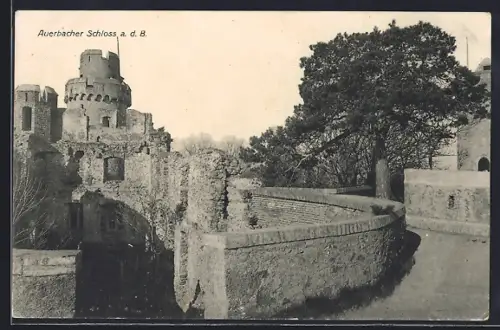 AK Auerbach / Hessen, Auerbacher Schloss