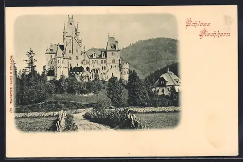 AK Bruck im Pinzgau, vor dem Schloss Fischhorn