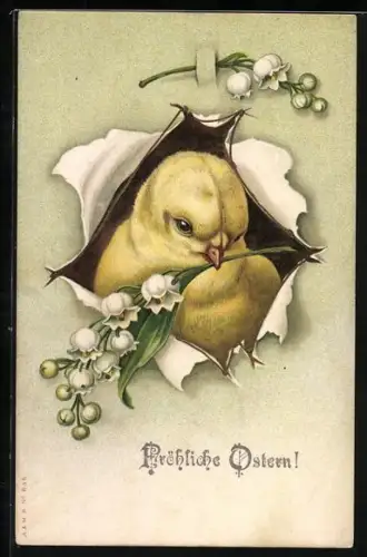AK Osterküken mit Osterglocken