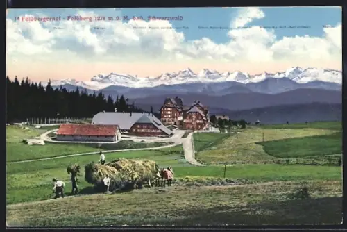 AK Feldberg / Schwarzwald, Hotel Feldberger Hof und Bauern mit Heuwagen