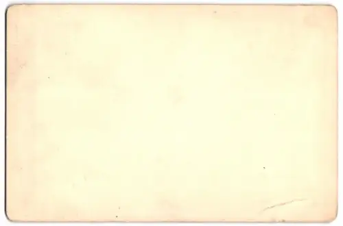 Fotografie Fr. Bruckmann München, Gemälde: Rückkehr kubanischer Kosaken von einem Beutezug 1860, nach Th. Horschelt