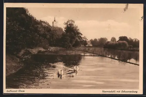 AK Kleve / Rhein, Kermisdahl mit Blick auf die Schwanenburg, Schwäne