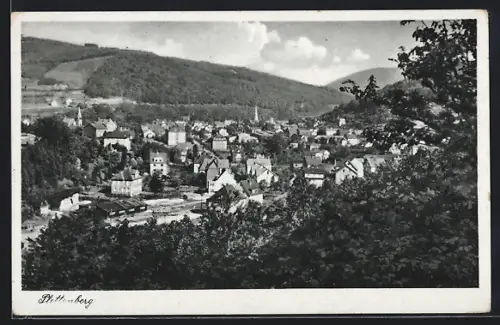 AK Plettenberg / Westfalen, Teilansicht mit Bäumen