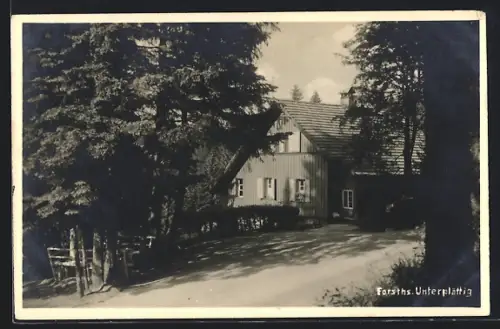 AK Bühl / Baden, Forsthaus Unterplättig