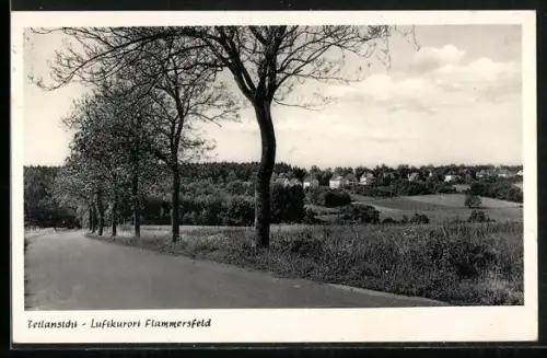 AK Flammersfeld, Teilansicht aus der Ferne