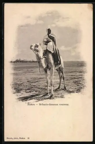 AK Biskra, Méharis-chameau courreur