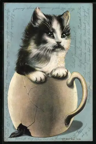 AK Katze in einem zerbrechenden Tonkrug