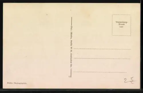 AK Entspannte Katze mit Vögeln und Mäusen