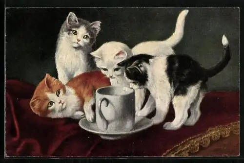 AK Junge Katzen beäugen einen Becher