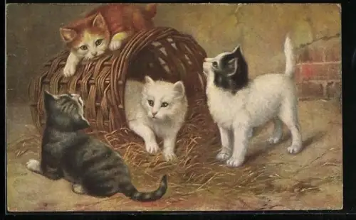 AK Junge Katzen und Strohkorb im Stall