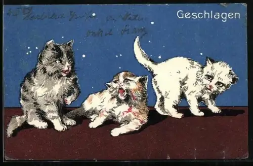 AK Katzen spielen miteinander