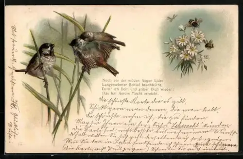 Lithographie Fliegende Bienen an Margaritenblüten, Vögel im Schilf