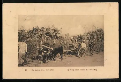 AK Afrikanischer Bauer transportiert westliche Besucher im Ochsen-Gespann