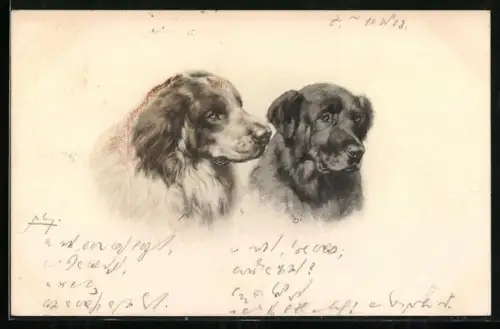 AK Zwei Hunde, Portrait