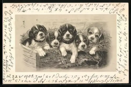 Lithographie Fünf Hundewelpen in einem Strohverschlag