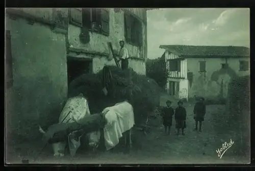 AK Pays Basque, Rentrée des Foins au Vieux Cambo