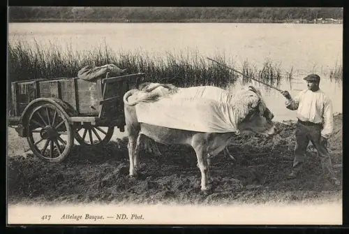 AK Attelage Basque