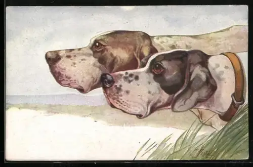 AK Zwei Jagdhunde mit vorgereckten Köpfen