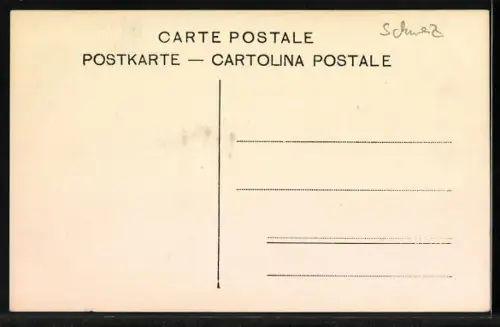AK Rigi-Staffel, Hotels mit Blick bis Rigi-Kulm