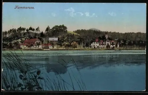 AK Hammer Am See-Hamr Na Jezere, Etablissement Seehof und Gasthof Schloss Dewin vom See aus gesehen