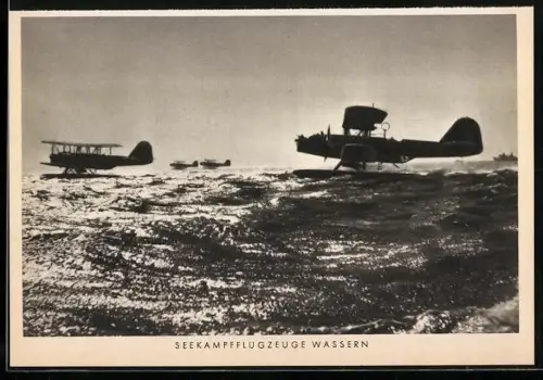 AK Seekampfflugzeuge wassern im Abendlicht
