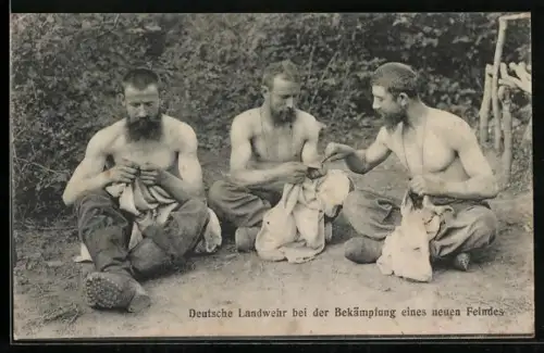 AK Deutsche Landwehr bei der Bekämpfung eines neuen Feindes, Läusejagd