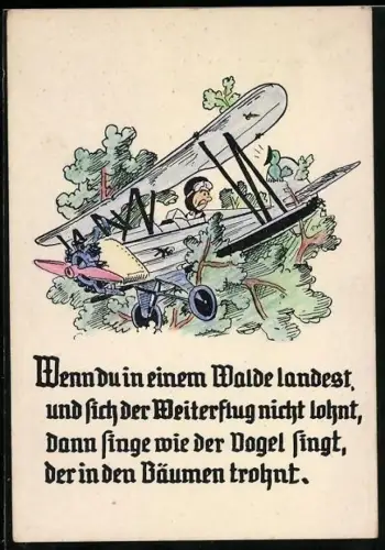 Künstler-AK Flugzeug in einem Baum gelandet
