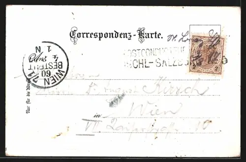 Lithographie Schafberg, Hotel, Gebirgspanorama