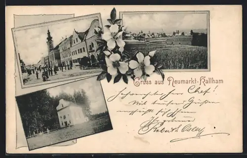 AK Neumarkt-Kallham, Panorama, Strassenpartie, Gebäudeansicht