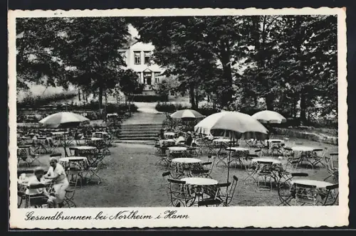 AK Northeim i. Hann., Gaststätte-Pension Gesundbrunnen, Garten u. Gebäude