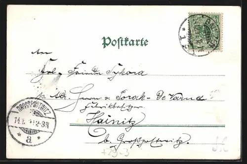 Passepartout-Lithographie Bautzen, Total-Ansicht, Blumen