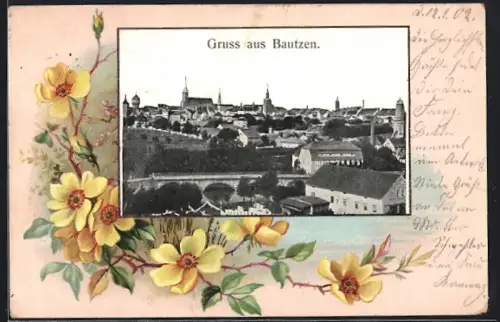 Passepartout-Lithographie Bautzen, Stadtansicht von oben, Heckenrose