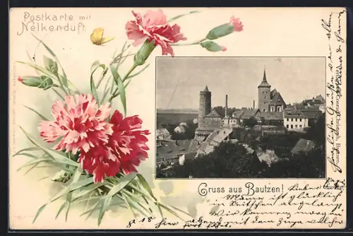 Passepartout-Lithographie Bautzen, Stadtansicht mit Kirche und Turm, Nelken, Schmetterling, Duft