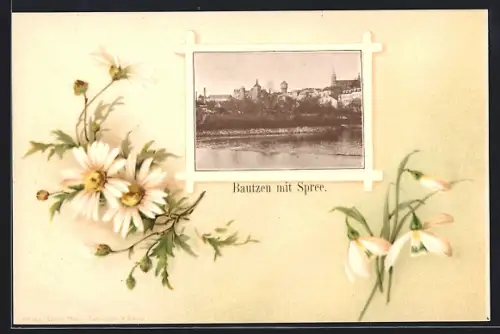 Passepartout-Lithographie Bautzen, Stadtansicht mit Spree, Schneeglöckchen, Kamille