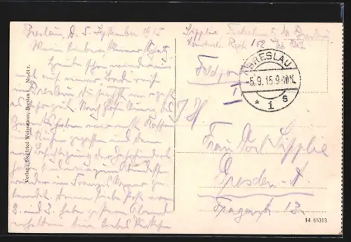 AK Breslau, Liebichshöhe, Gebäude mit Springbrunnen aus der Vogelschau