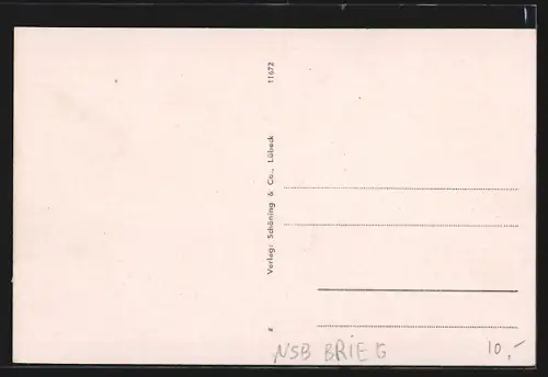 AK Brieg /Schles., Blick zum Heldendenkmal