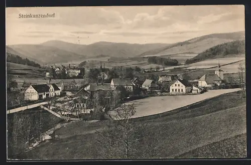 AK Steinkunzendorf, Ortsansicht aus der Vogelschau