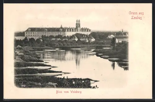 AK Leubus, Blick vom Weinberg