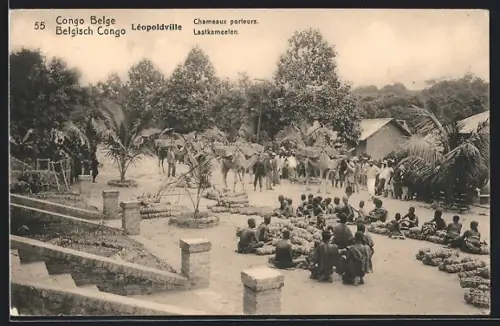 AK Leopoldville, Chameaux porteurs, Dorfpartie mit Markt und Kamelen
