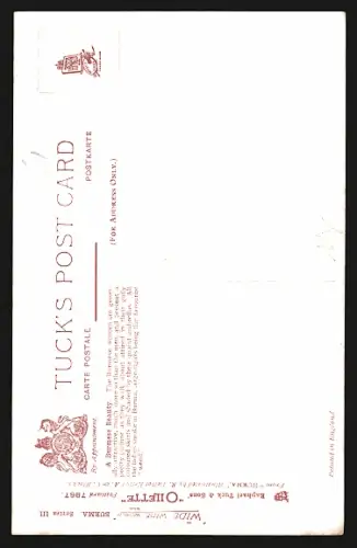 Künstler-AK Burma, A Burmese Beauty