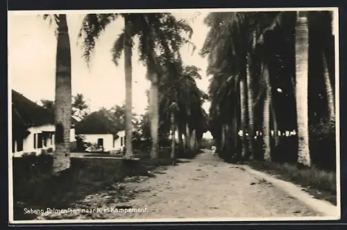 AK Sabang, Palmenlaan Nias Kampement