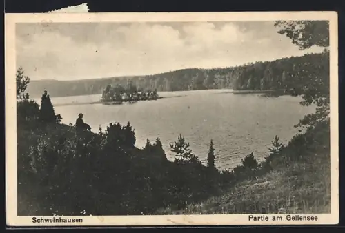 AK Dramburg, Schweinhausen, Partie am Gellensee