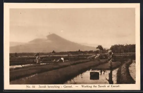 AK Garoet, Sawah bewerking