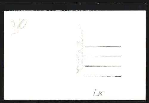 AK Echternach, Hotel Universel et Cheval Blanc