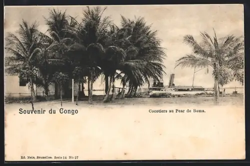 AK Congo Belge, Cocotiers au Pier de Boma