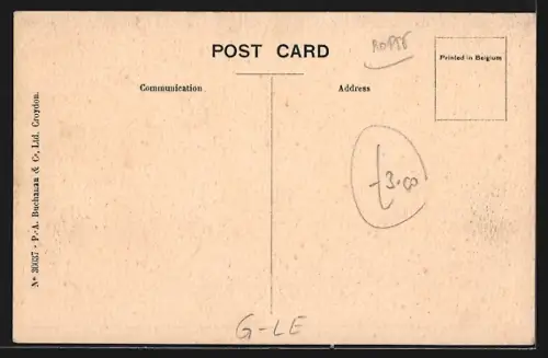 AK Loughborough, Midland Agricultural & Dairy College