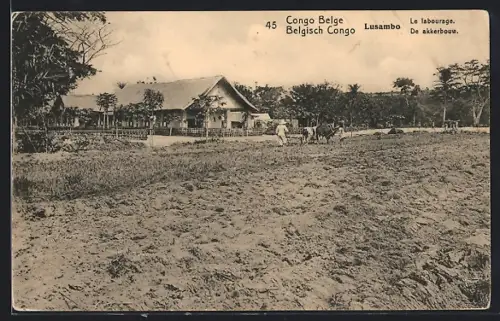 AK Lusambo, Le Labourage