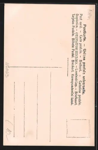 AK Cattaro, Domkirche 1905