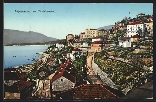 AK Castelnuovo, Panorama mit Strassenpartie