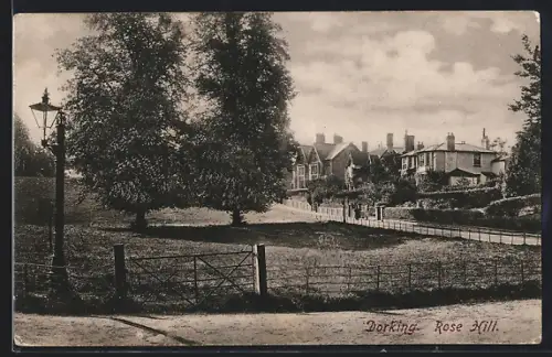 AK Dorking, Rose Hill